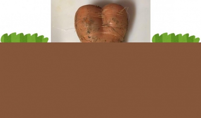 埋まっていた時の様子を再現（編集部で一部画像加工）