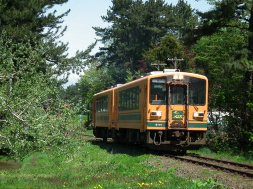 夢見るきのたけ号