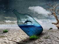地上でもっとも乾燥したアタカマ砂漠では、雨は恵みではなく死をもたらす（チリ）