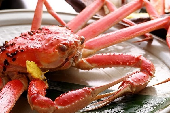 Crabhouseに招待されたい（画像提供：越前蟹の坊）