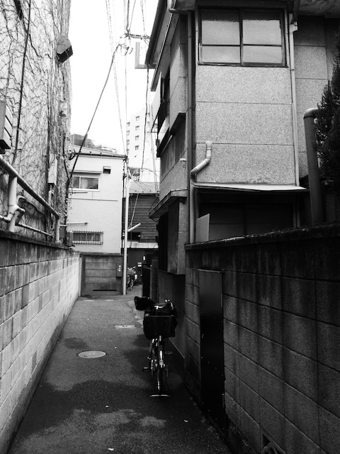 IMG_0304 のコピー