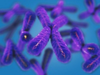 細胞の老化プロセスを止める分子が特定される（米研究）