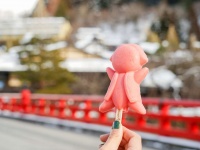 提供：さるぼぼアイス