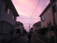画像はイメージです（conbon33さん撮影、Flickrより）