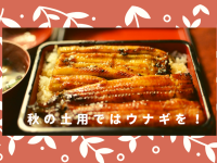 デジタルレクリム株式会社のプレスリリース画像