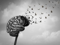 木の根元で発見された血まみれの脳みそにしか見えない謎の物体。その正体は？（脳みそ激似注意）