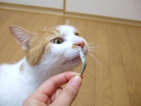 疲れやストレス、物忘れの原因！ カルシウム不足をすぐに確認できる方法