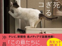 辰巳出版株式会社のプレスリリース画像
