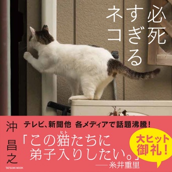 辰巳出版株式会社のプレスリリース画像