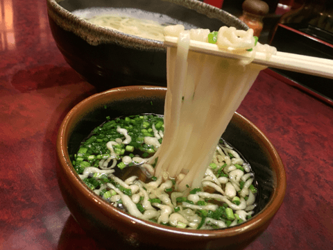 宮崎県の旨いもん大特集第4弾！　最後の〆は激ウマうどんでいかが？#10