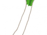 画像はイメージです