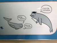ゆるい雰囲気がかわいい（写真はきさらんどさん提供）