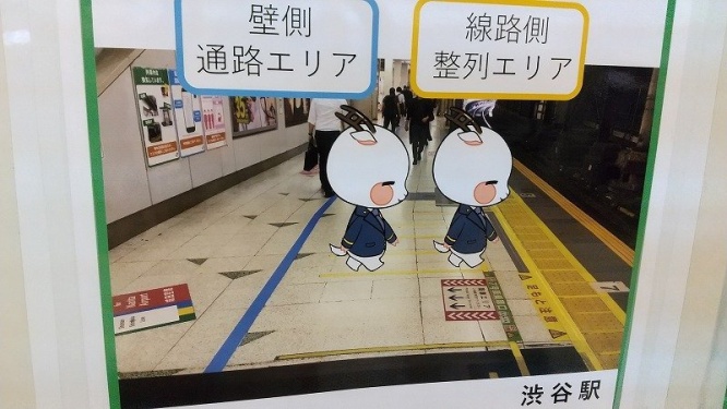 整列乗車をするしぶやぎ（画像は編集部撮影）