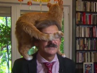 政治問題の解決策？猫と和解せよ。学者のテレビインタビューに乱入し、別の解決策を提案する猫（オランダ）