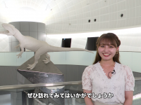 世界三大恐竜博物館「福井県立恐竜博物館」リニューアルオープンを取材