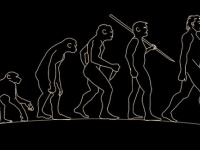 ヒトが二足歩行を始めてからも、ずっと木の上で生活していた仲間がいた（英研究）