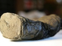 噴火で炭化してしまった古代のパピルスの巻物を最新のAI技術で広げることなく解読する試み（英研究）