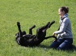 熱海の旅行中に突然、タクシーで六本木へと行ってしまった女友達　その理由とは！？