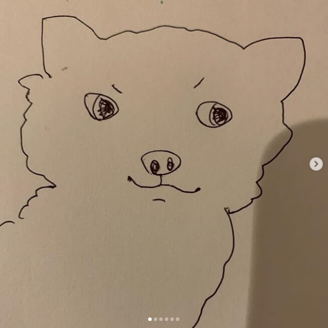 石田ゆり子 仔犬のイラスト披露で大反響 なんだこのクセになる絵は 1ページ目 デイリーニュースオンライン