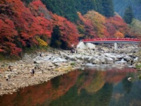 見なきゃ損！　秋の旅行の費用を安く抑えるコツ6つ