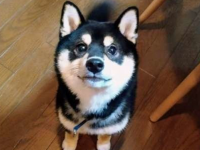 涙と旅カフェ　あかねのプレスリリース画像