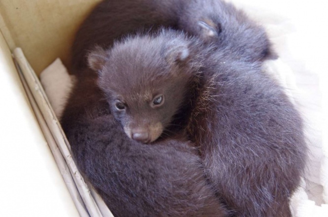 (写真はみなみなみなさん提供)