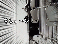 ケージ破りの異名を持つ、脱走の達猫のミッションインポッシブル