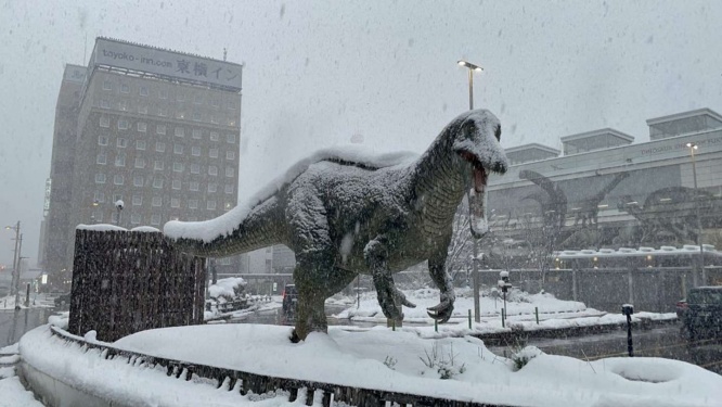 22日午後の福井駅前（爆戦＠62gata_Bakusenさんの投稿より）