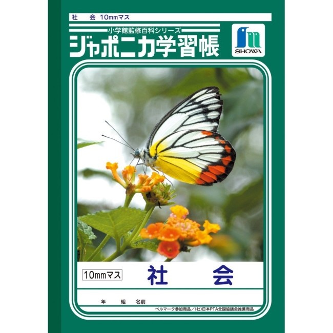 716V-x91ToL._SL1000_