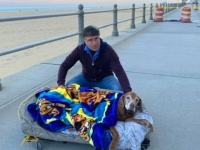 最後に大好きだった海を見せたい。愛犬に可動式ベッドを作り、残された時間で最高の思い出を共有した家族