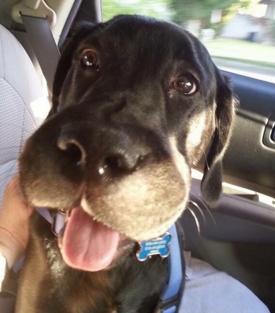 スクリーンショット 2016-04-24 19.58.47