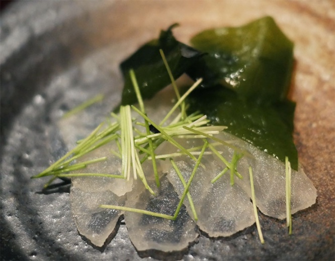 hayashi16