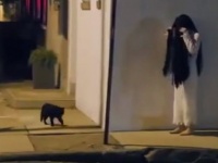 ヤダってばやめて、怖いよ怖い！ハロウィンの日に恐ろしい目に遭ってしまったペットたち