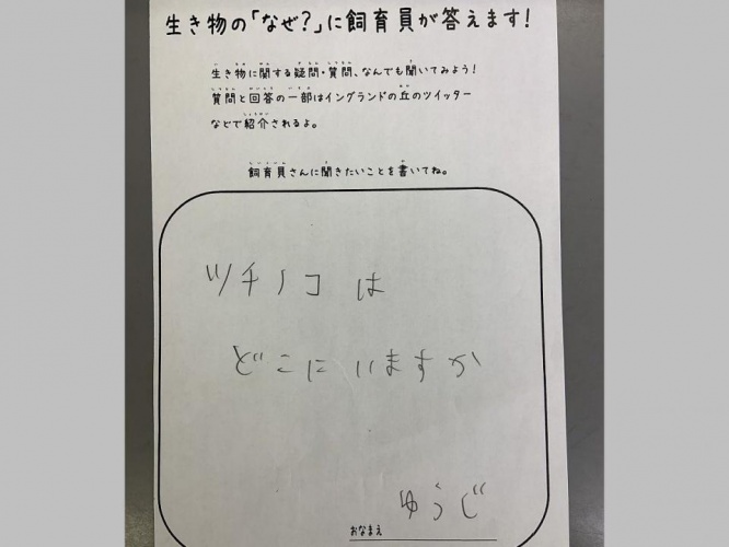 気になる...(画像はイングランドの丘公式ツイッターより、編集部で一部トリミング)