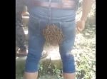 なぜそこに…？笑　ミツバチが男性のおケツに大量に群がる。