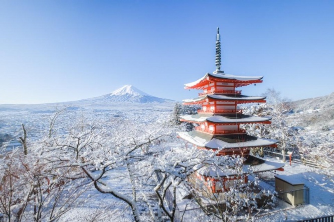 1月19日午前8時ごろ、新倉山浅間公園で撮影(510さんのツイートより)