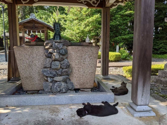 床で寝ていることもある