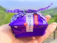 名作すぎて全米が泣くレベル　「桔梗信玄生プリン」できな粉と黒蜜が感動的な共演を披露