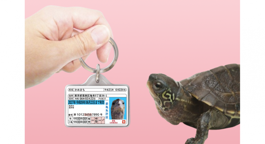 Daydream Labのプレスリリース画像