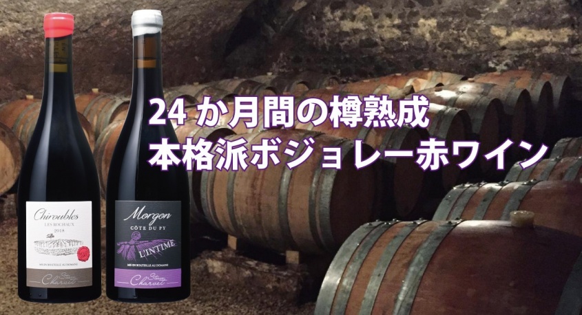 株式会社キングジャパンのプレスリリース画像