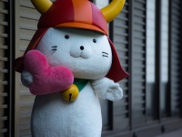 滋賀県が誇るゆるキャラ・ひこにゃん（Takashi(aes256)さん撮影、Flickrより）