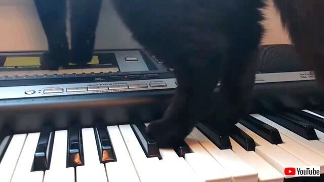 horrorsynth2_640