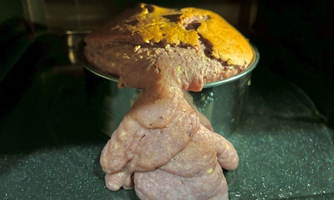 ケーキを焼いただけなのに...　オーブン内で生まれた〝モンスター〟に9.3万人戦慄「どうみても肉塊」「特級呪物」