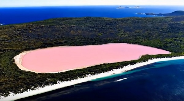 【嘘みたい！】鮮やかなピンク色をしたオーストラリアのヒリアー湖が話題に