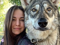 育児放棄されたオオカミの赤ちゃんを育て、完璧な家族の一員となった（ロシア）
