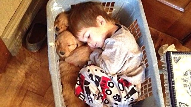 優しくってあたたかい時間を共有しよう。わんこと子供のほっこり仲良し写真集をどうぞ