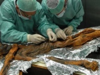 約5300年前のミイラ、アイスマン（エッツィ）の胃袋の中を探った結果、昔から人類はこってり系が好きだったことが判明