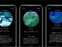 Linne株式会社のプレスリリース画像