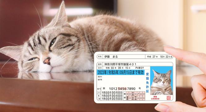 Daydream Labのプレスリリース画像