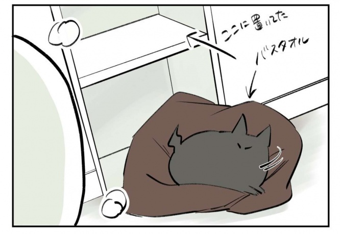 毛だらけに...なっちゃう......（画像は秀さん提供）